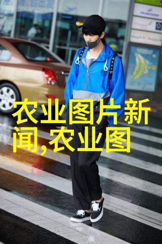 花海盛宴探索世界各地的美丽花卉图片
