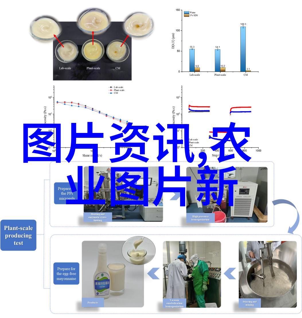 中国养殖养羊网我是羊爸你想知道养羊怎么赚钱