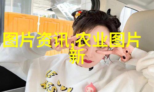探索野生金线莲的自然美独特花卉与其栖息地的奇迹