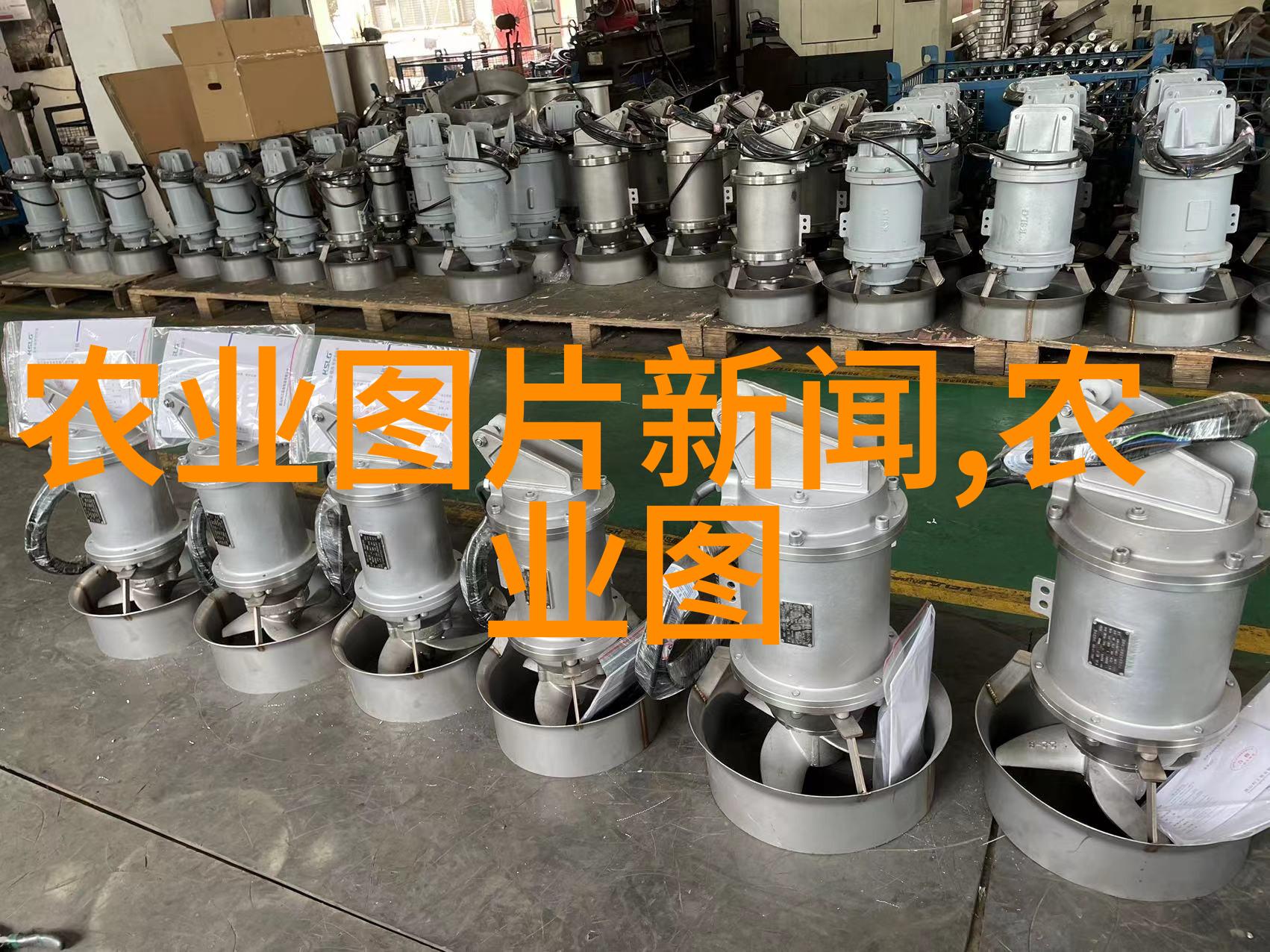 蔬菜百科全书深入了解各种健康蔬菜的种类营养价值和烹饪方法