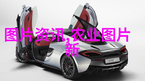 花木森林app深夜的守护者
