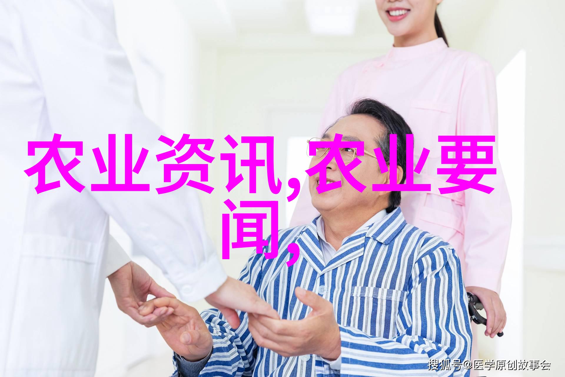蔬菜之梦大棚里的金钱种子