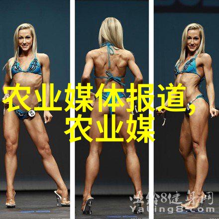 格雷的50道阴影 - 解锁秘密探索克莱夫格雷背后的五十个面孔