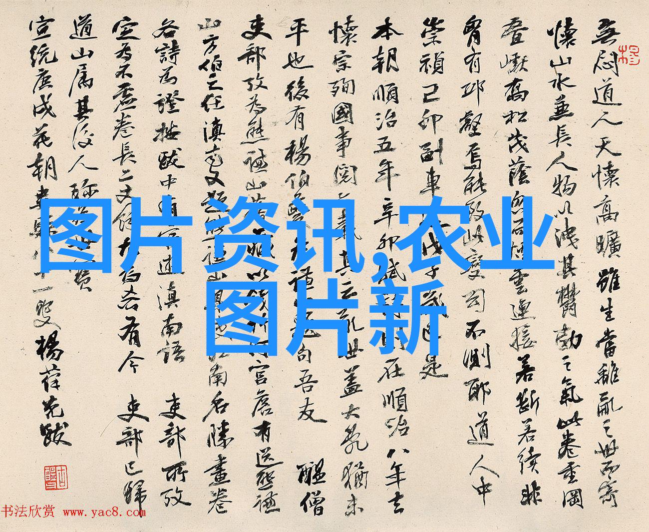 翠绿盛世全球十大最美丽的树种排行榜