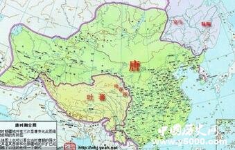 药材市场的金钱树哪种高利润值得栽培