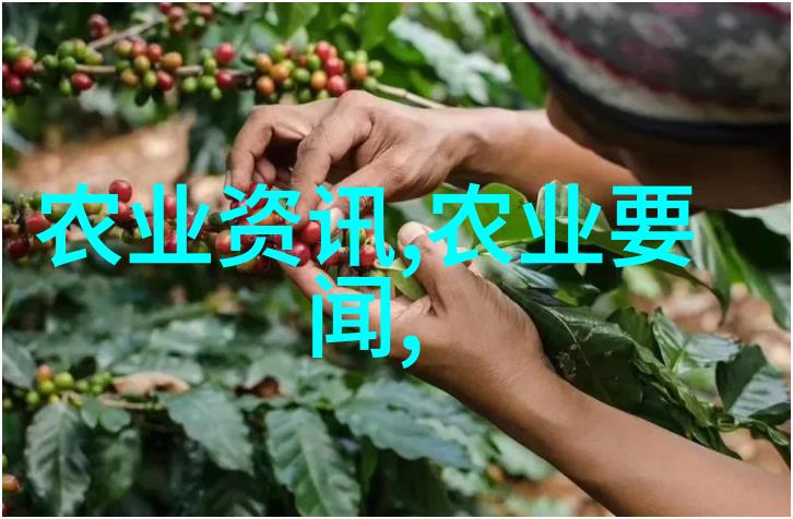 风云际别剑起的传奇之旅免费阅读