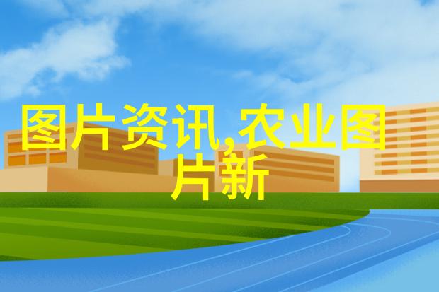 十五公分五针松的迷人魅力与市场价位探究