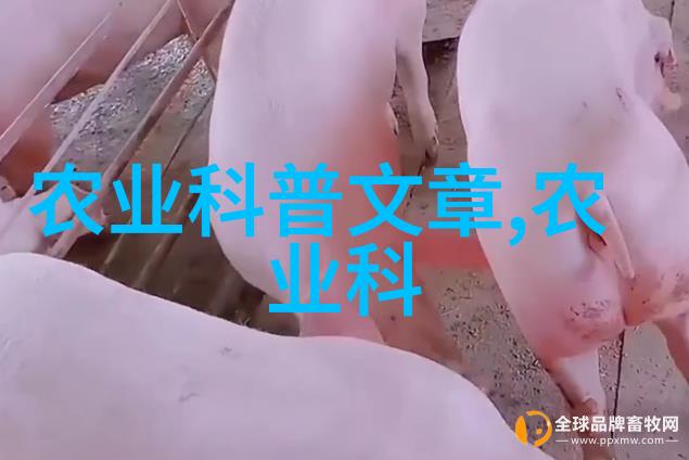 懒人种植果树的秘诀