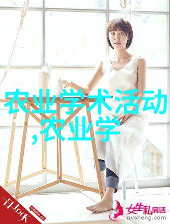 法桐价格波动10公分尺寸最新市场走势分析