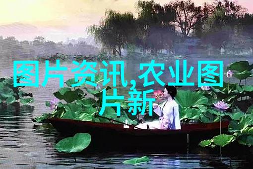 驾驭城市300元一天的都市征途