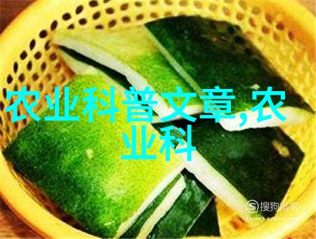 农村中药材种植与管理绿意盎然的药材园