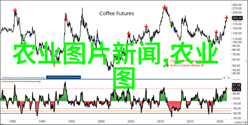 农场合作悠然牛耕的故事