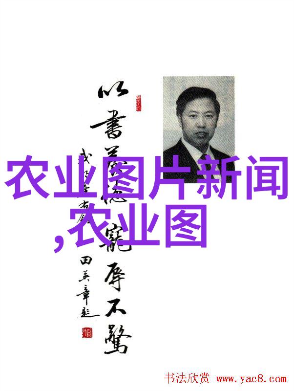 15公分五针松价格盘点绿意盎然的家居装饰新宠