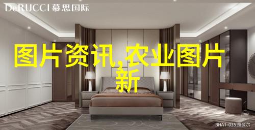 林麝养殖指南揭秘5只小精灵的金钱花费