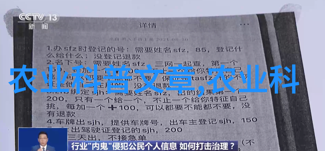 农业-大棚下的现代绿色农业技术创新与可持续发展