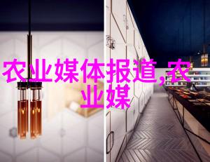 药材种植的财政支持国家补贴机制详解