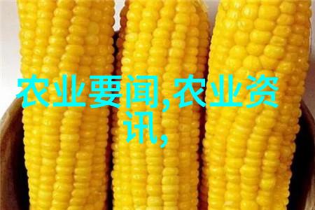 温和滋补探秘全球十大养胃茶