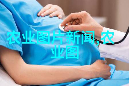 水果蔬菜种子图片-鲜活的生命探索水果蔬菜种子的美丽世界