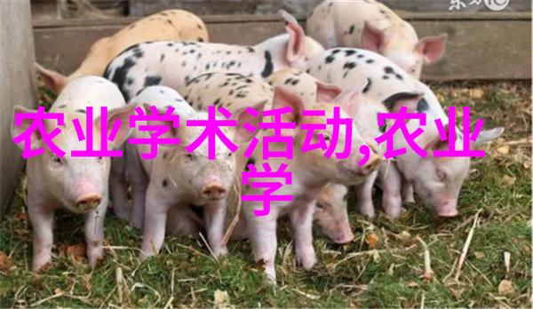 茶香悠扬探秘茶叶的健康功效与日常应用