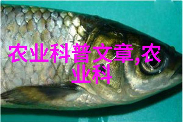 党内法规制定主体强势引领吉林电力保障木耳之乡黑木耳基地用电稳定