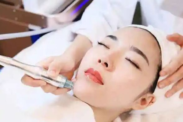 解密蜜蜂世界养蜜蜂技术视频全集中的奥秘