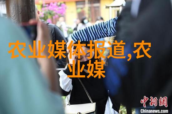 个人图书馆服务系统个性化阅读体验与智能资源管理