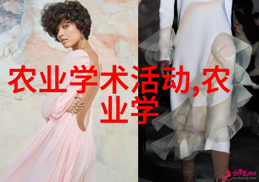 玉米丰收绿色革命的新篇章