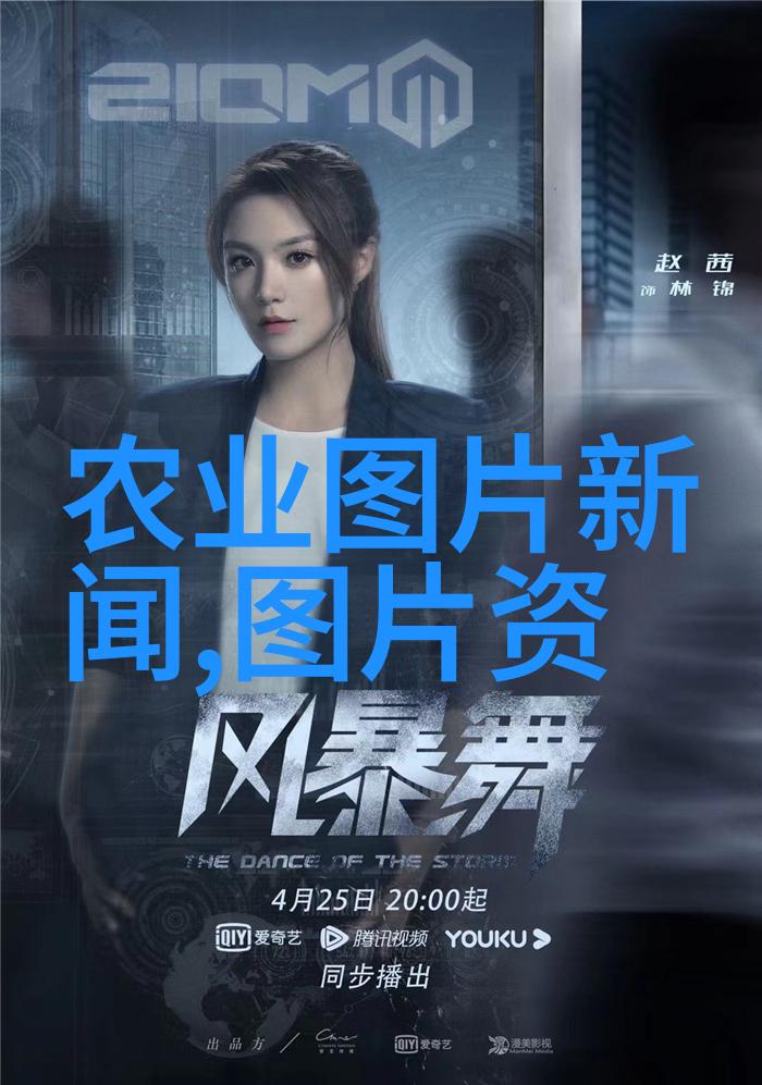 桑黄菌种植技术高效养殖桑黄菌的秘诀