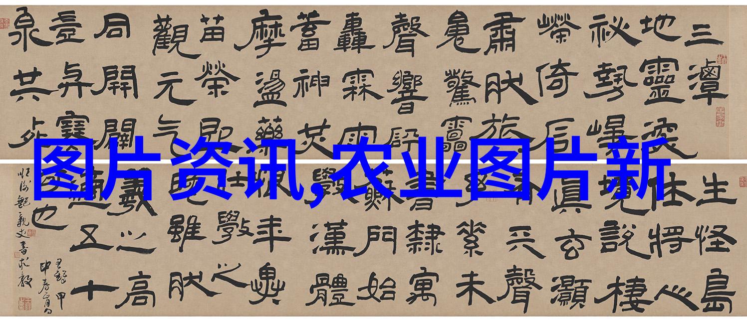绚彩生长花卉种植的诗意画卷