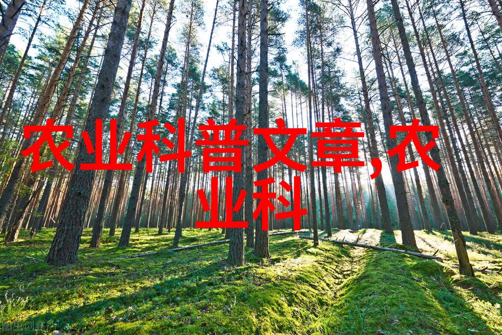 逆袭种植从无名蔬菜到全球香料的奇迹之旅