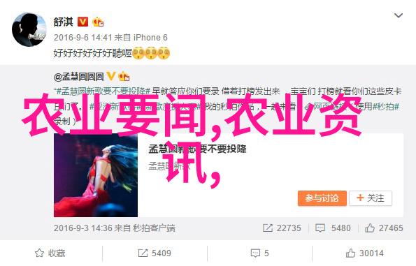 云南昆明鲜花批发市场色彩斑斓的绿洲与春天的礼赞