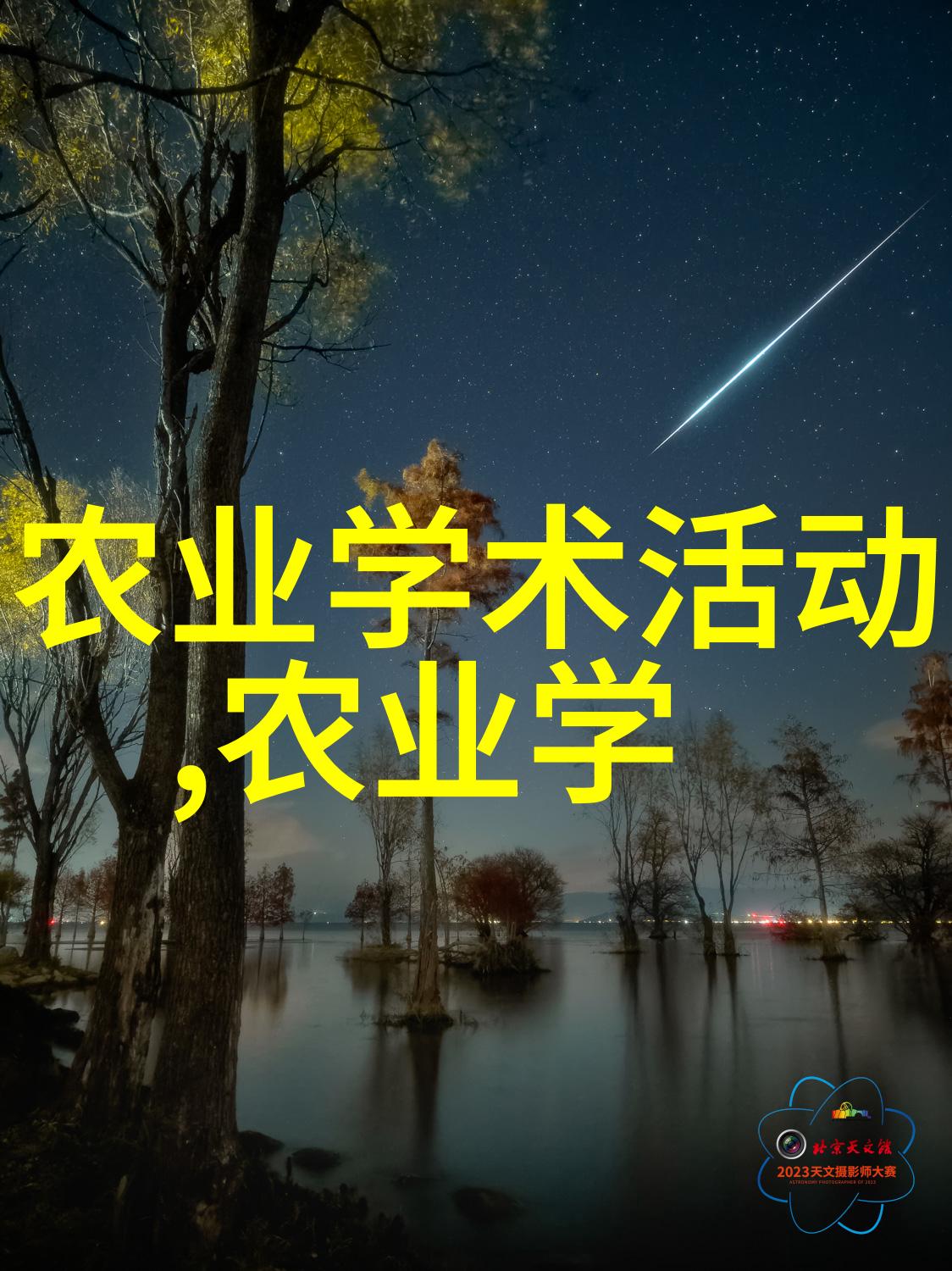 商业化运营你的家庭园艺通过出售手工产品赚钱