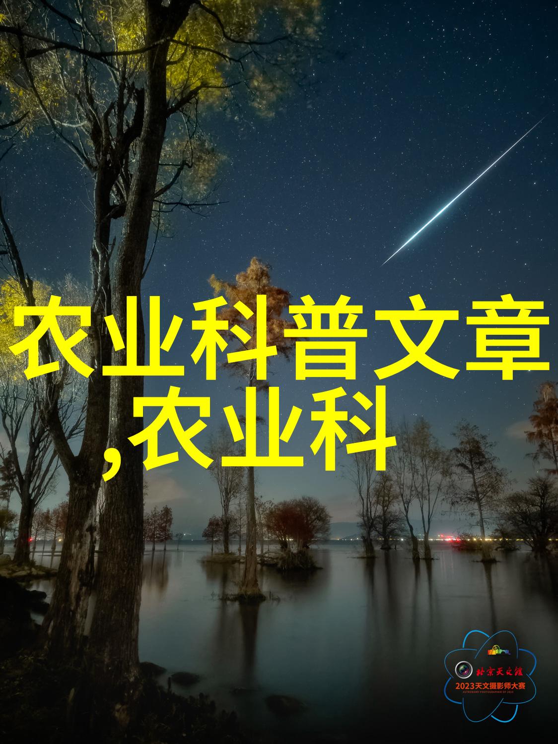 全球蜂巢探索外国养蜂技术视频的奇妙世界