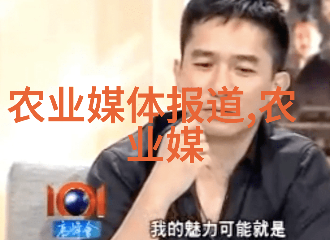 竹马翻译官青春交错中的语言奇缘