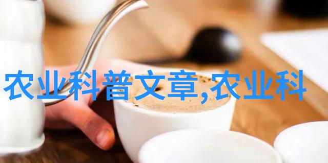 一眼万年txt-永恒的视角探索一眼万年文本世界