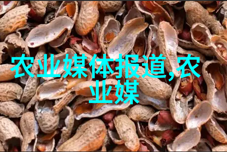 茶艺小窍门我来教你一招怎么辨别各种茶叶形状的图片及名字