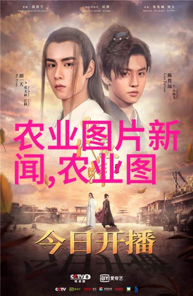 不能种在一起的冤家蔬菜-相生相克揭秘那些不宜共植的蔬菜