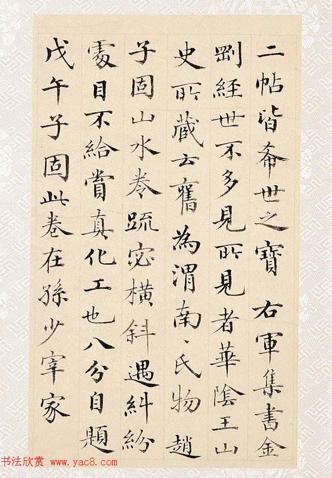 竹鼠养殖技术大全 - 竹鼠饲养指南与高效管理技巧