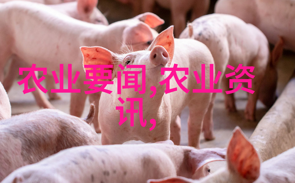 我来告诉你茶树的秘密它是如何在山野间静悄悄地长成的