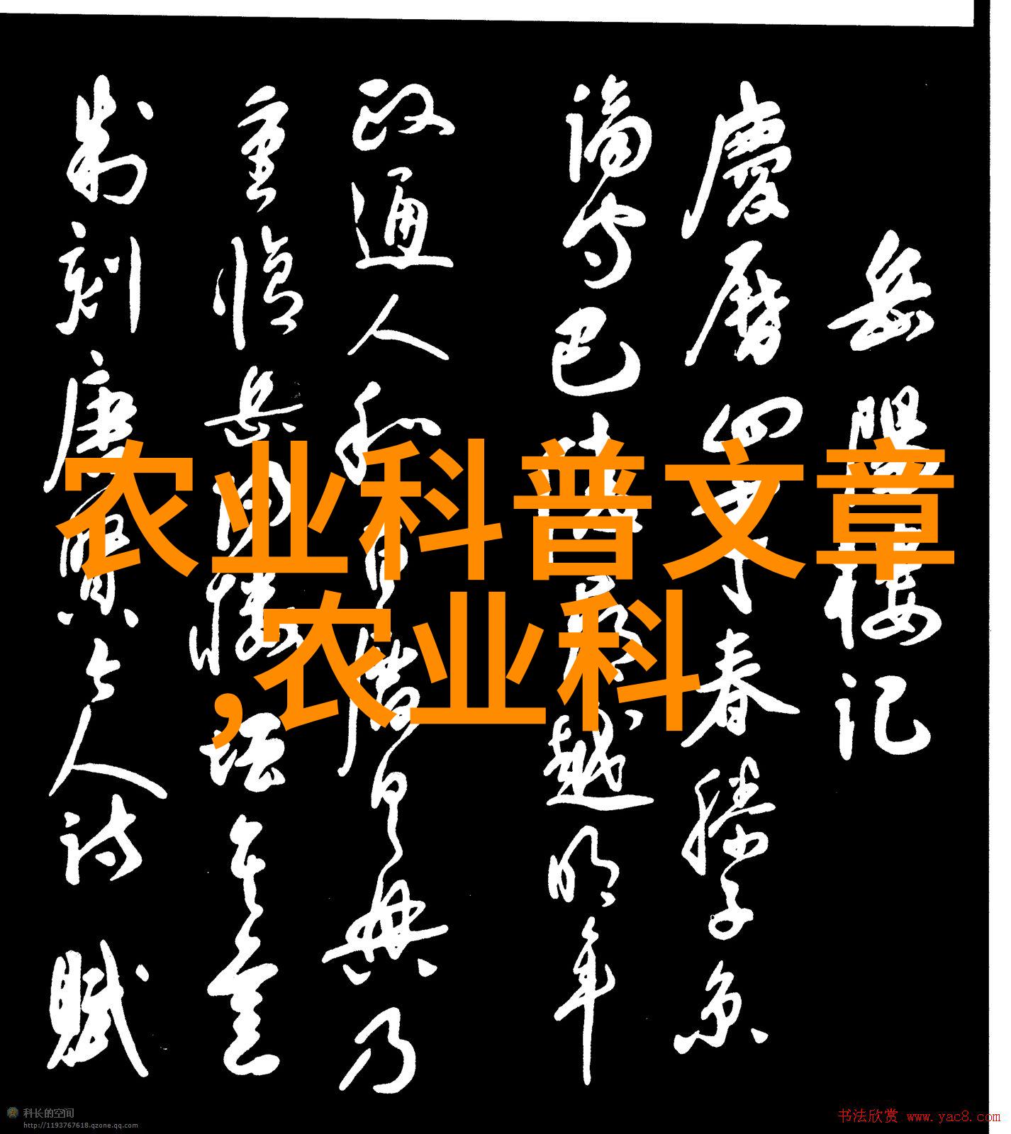 黄姜种植技艺中药材的金色财富