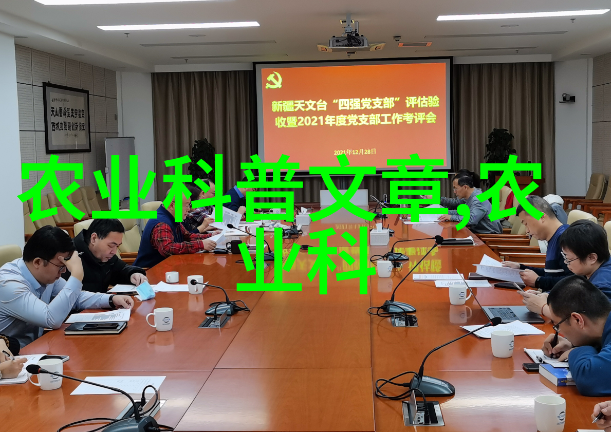 黑金烹煮掌握泡制黑茶的艺术技巧