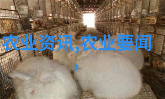 一边吃胸边膜下免费版刺激-双重享受揭秘一边品尝美食一边体验刺激的生活艺术