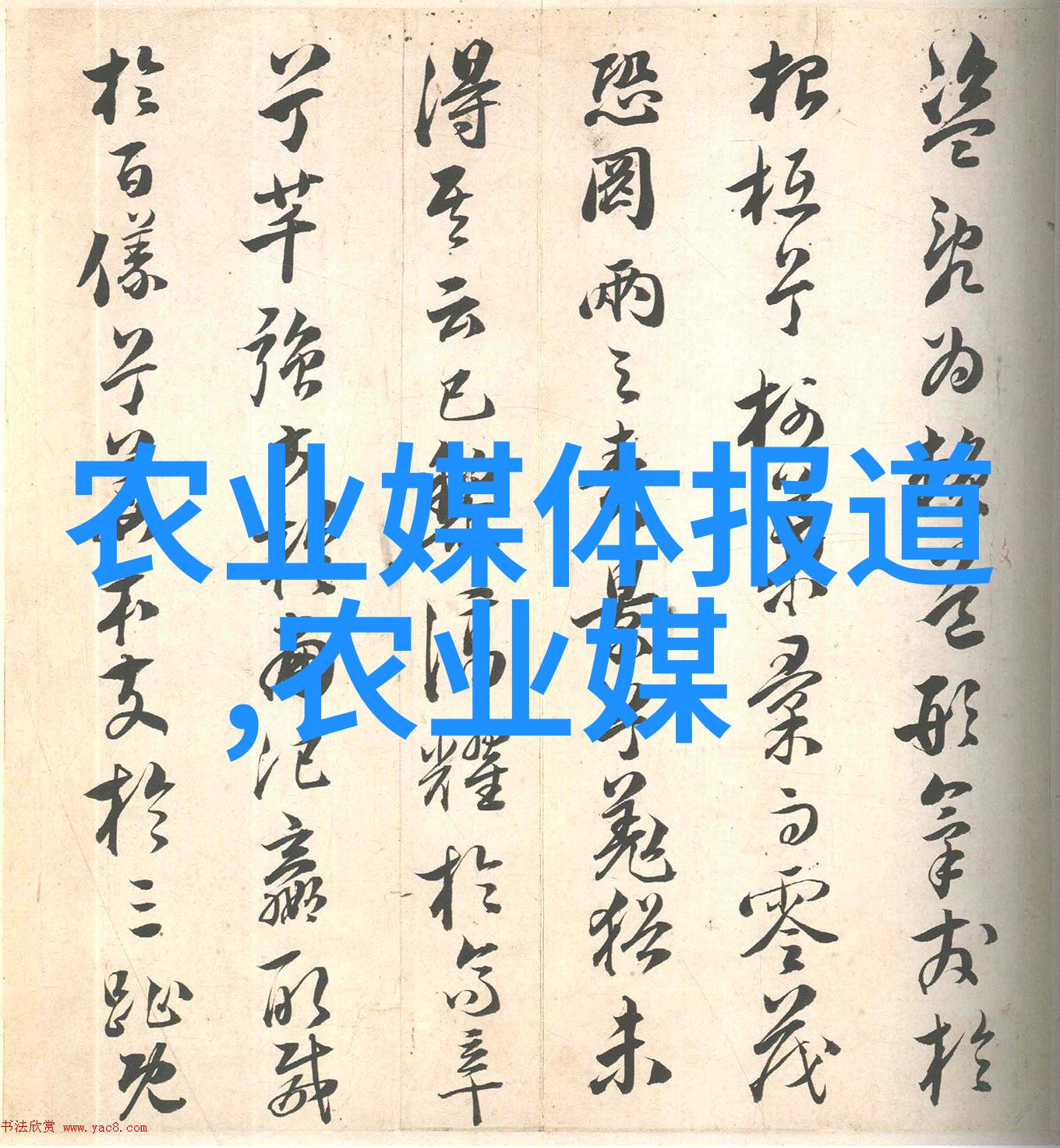 数字化转型战略中国农业网址大全中的关键要素是什么