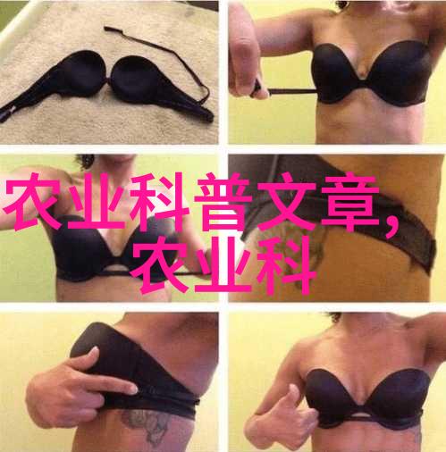 茶树的知识-品鉴古韵探索中国茶文化与茶树栽培艺术