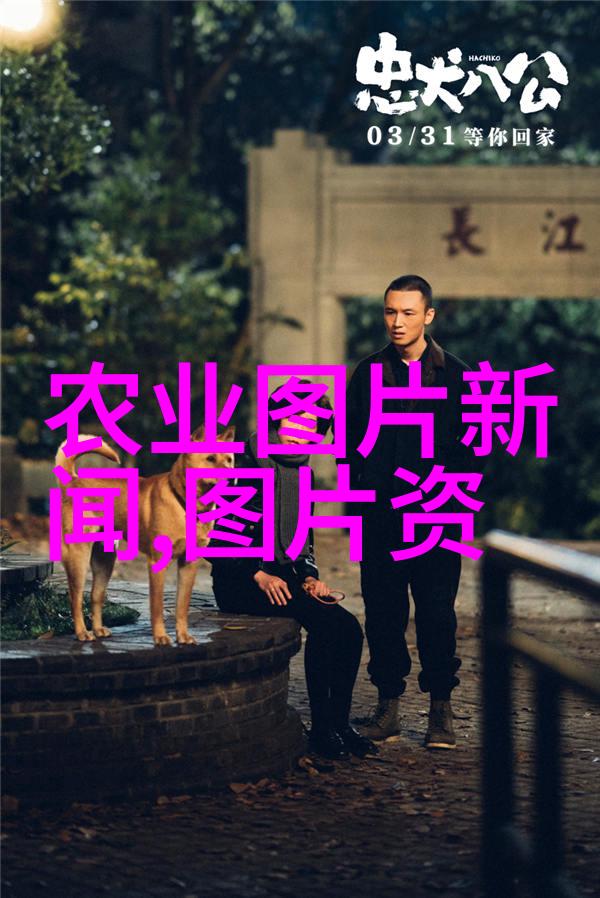 果实的源头寻觅那纯净果苗的地方