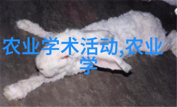 探索鸽翼之谜提升养殖效率的现代鸽子养殖技术