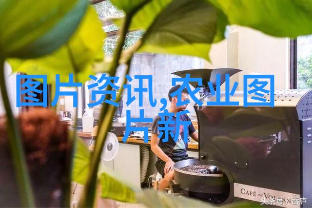水乡的秘密花金线莲的迷人姿态