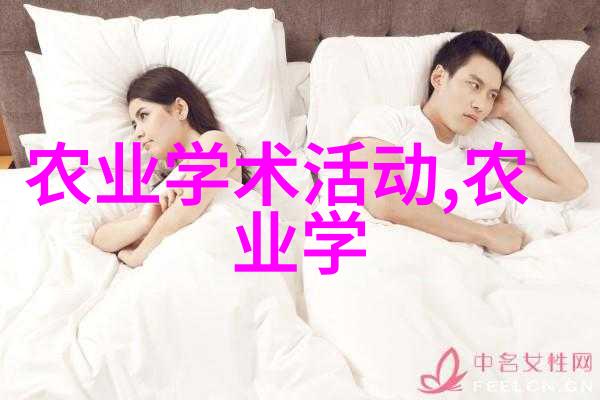 探秘茶文化揭秘一壶浓情的故事