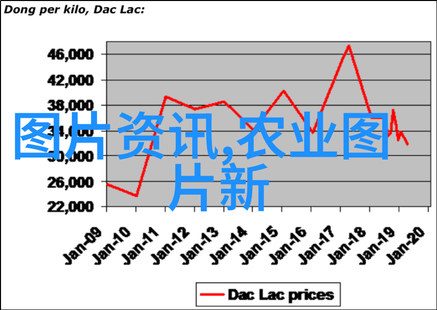 主题-12公分木瓜树价格种植梦想的经济实话