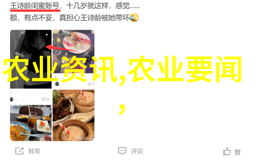 绿茵海洋河南蔬菜盛世的奇迹